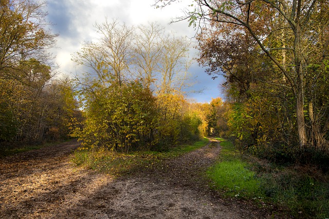 Environnement et nature